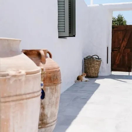 1919's House Dom wakacyjny Asklipiion