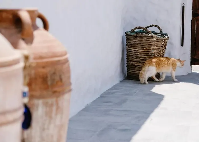 Сasa de vacaciones 1919's House