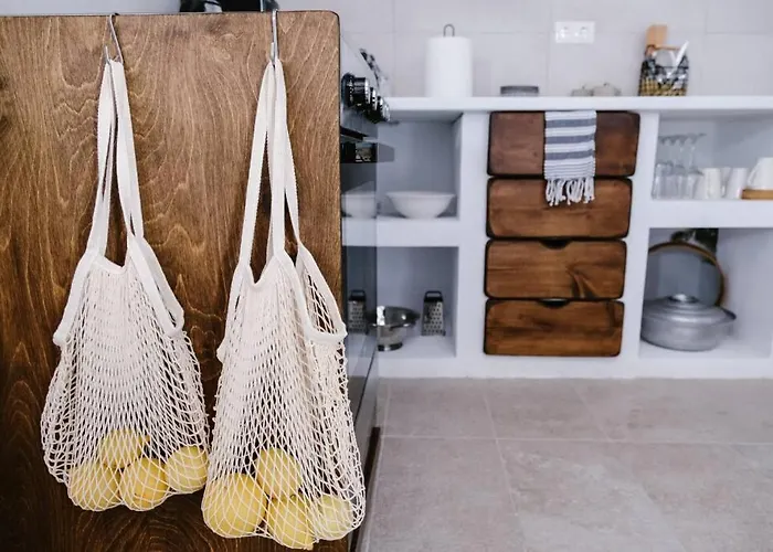 1919's House Asklipiion