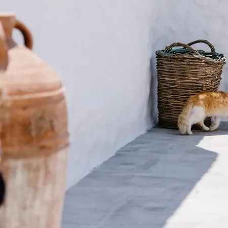 Vakantiehuis 1919's House